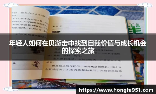 快盈V3