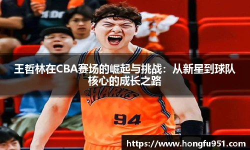 王哲林在CBA赛场的崛起与挑战：从新星到球队核心的成长之路